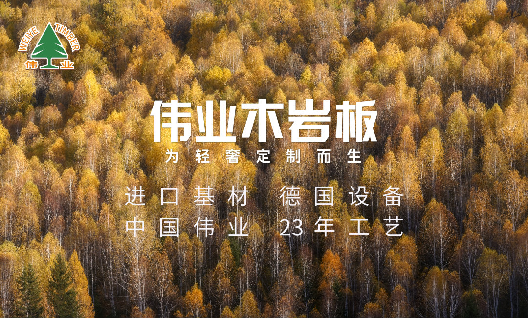 偉業(yè)木巖板，保護(hù)孩子，從懷孕開始